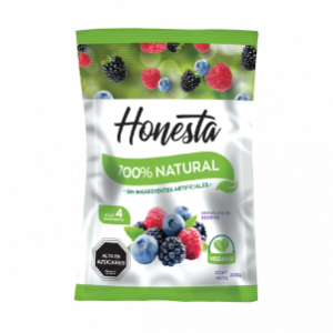 CAJA DE MERMELADA BERRIES HONESTA SACHET 200 GRS X 24 UN