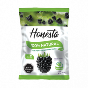 CAJA DE MERMELADA MORA HONESTA SACHET 200 GRS X 24 UN
